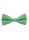 Μονόχρωμο Ανδρικό Λινό Παστέλ Πράσινο Παπιγιόν - 2313